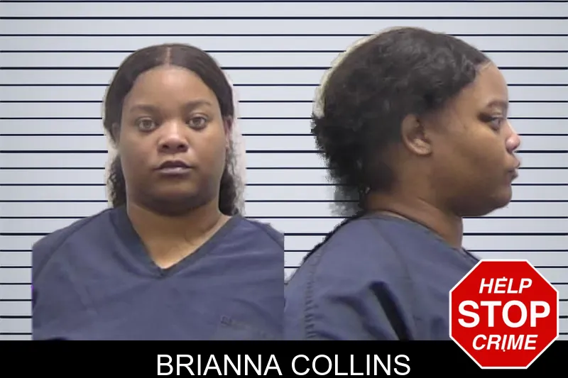 Brianna Collins mugshot – Clarke County , Georgia Brianna Collins mugshot