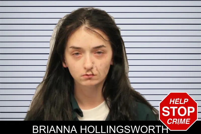 Brianna Hollingsworth mugshot