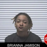 Brianna Jamison mugshot – Coweta County , Georgia Brianna Jamison mugshot