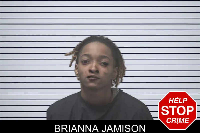 Brianna Jamison mugshot