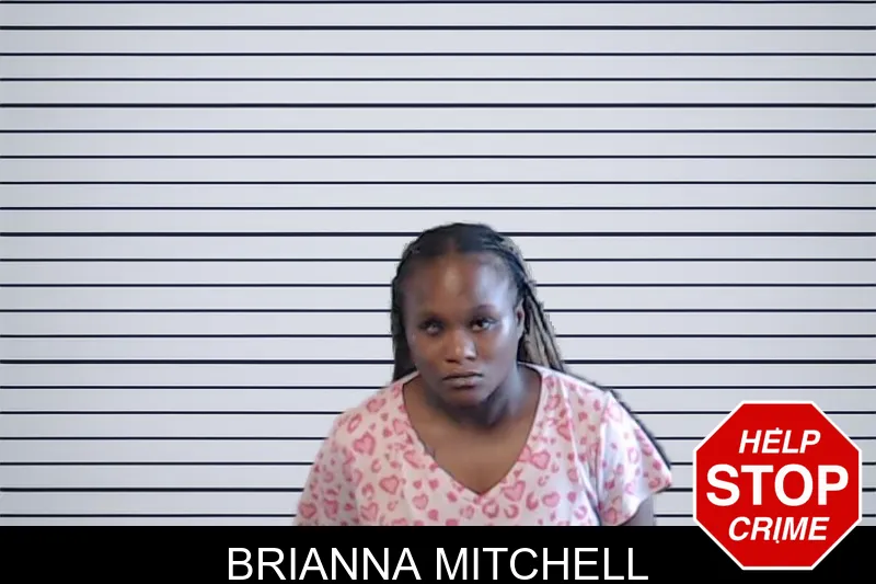 Brianna Mitchell mugshot – DeKalb County , Georgia Brianna Mitchell mugshot
