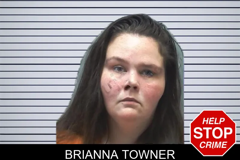 Brianna Towner mugshot – Cherokee County , Georgia Brianna Towner mugshot