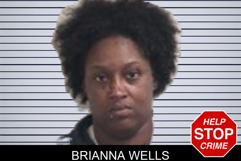 Brianna Wells mugshot