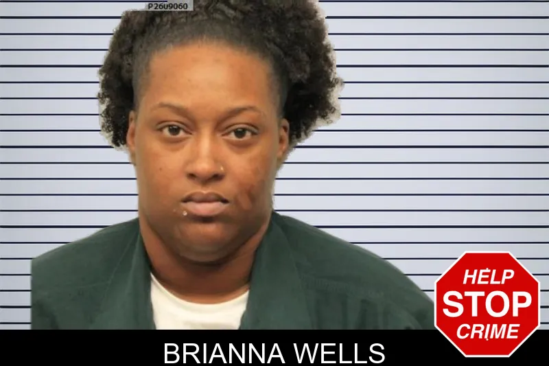 Brianna Wells mugshot