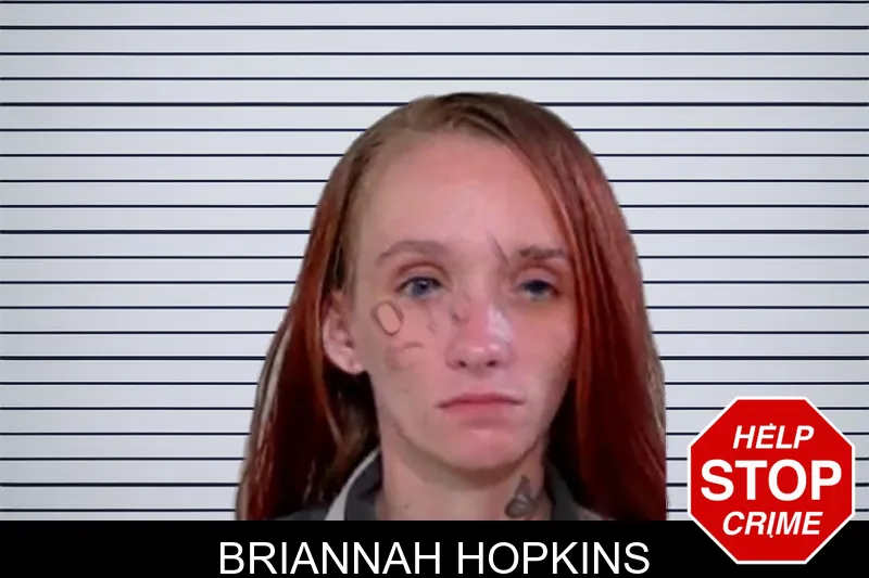 Briannah Hopkins mugshot – Liberty County , Georgia Briannah Hopkins mugshot