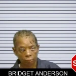 Bridget Anderson mugshot