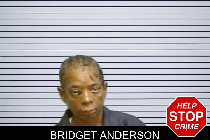 Bridget Anderson mugshot