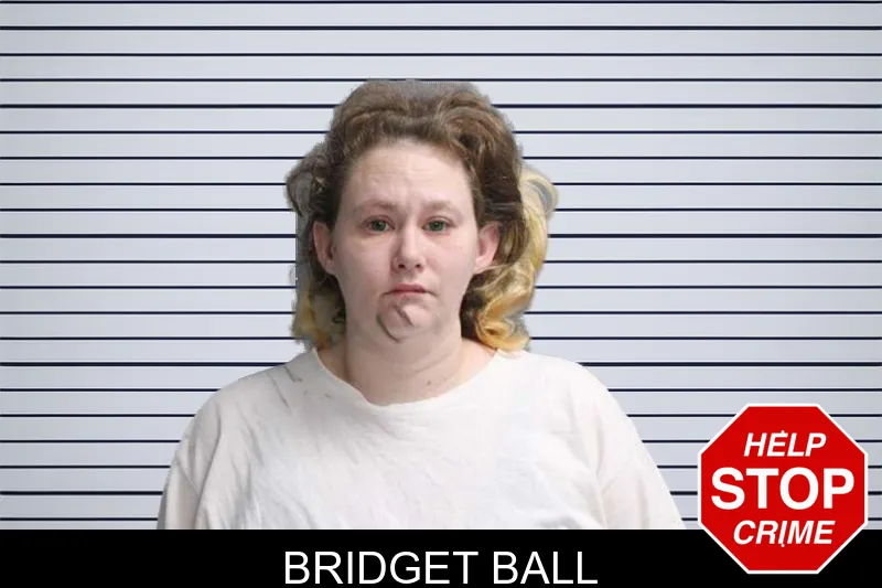 Bridget Ball mugshot – Crisp County , Georgia Bridget Ball mugshot