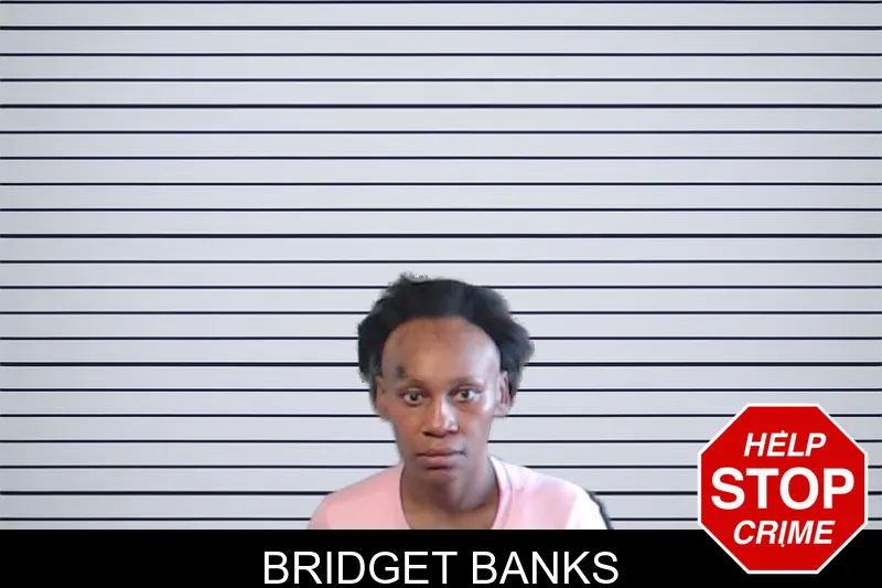 Bridget Banks mugshot
