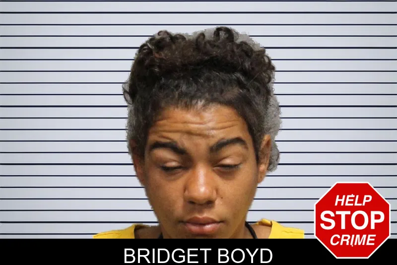 Bridget Boyd mugshot – Cobb County , Georgia Bridget Boyd mugshot