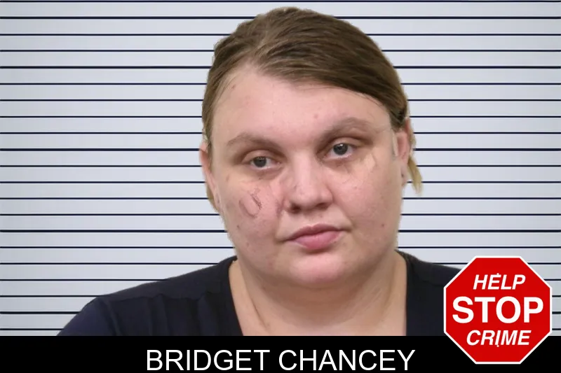 Bridget Chancey mugshot