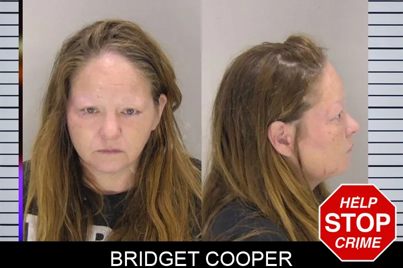 Bridget Cooper mugshot – Richmond County , Georgia Bridget Cooper mugshot