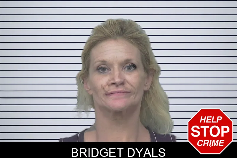 Bridget Dyals mugshot – Gwinnett County , Georgia Bridget Dyals mugshot