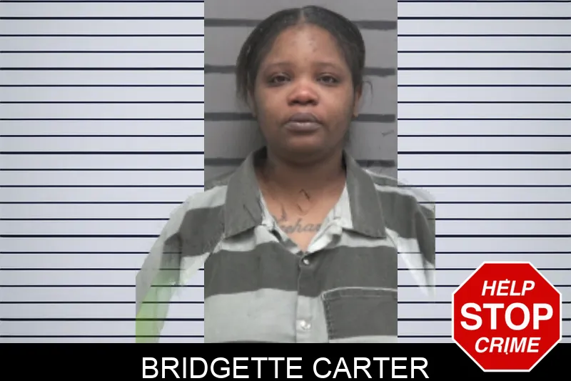 Bridgette Carter mugshot – Dougherty County , Georgia Bridgette Carter mugshot