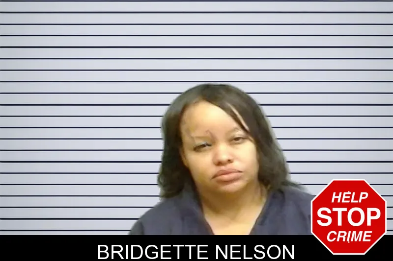 Bridgette Nelson mugshot – Fulton County , Georgia Bridgette Nelson mugshot