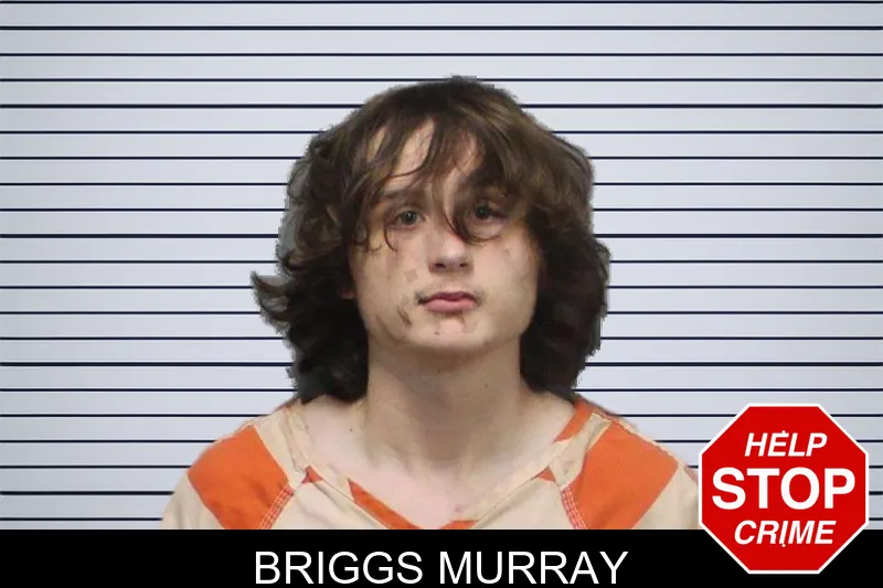 Briggs Murray mugshot – White County , Georgia Briggs Murray mugshot