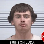 Brinson Luda mugshot
