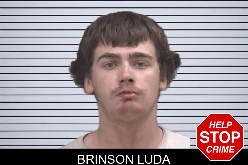 Brinson Luda mugshot