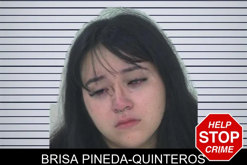Brisa Pineda-Quinteros mugshot – Fayette County , Georgia Brisa Pineda-Quinteros mugshot