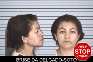 Briseida Delgado-Soto mugshot