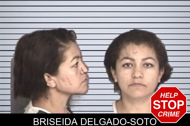 Briseida Delgado-Soto mugshot – Barrow County , Georgia Briseida Delgado-Soto mugshot