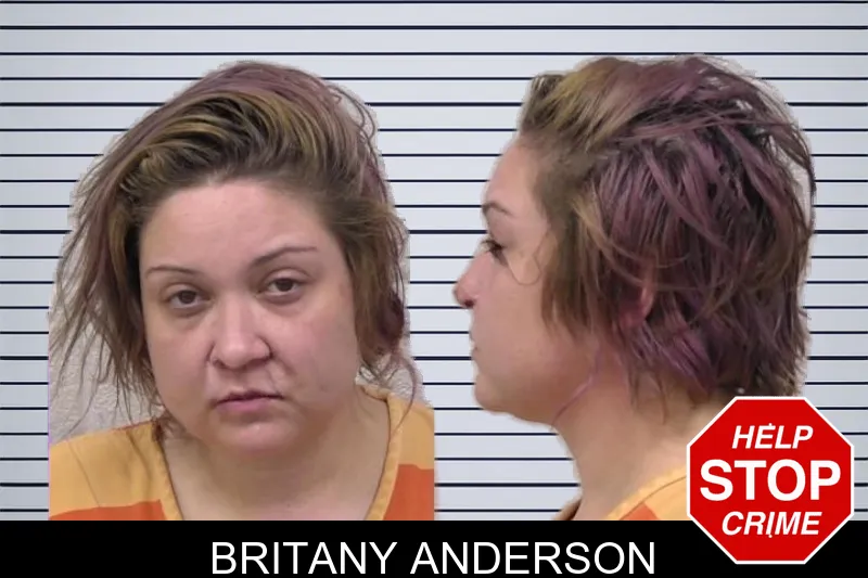 Britany Anderson mugshot – Paulding County , Georgia Britany Anderson mugshot