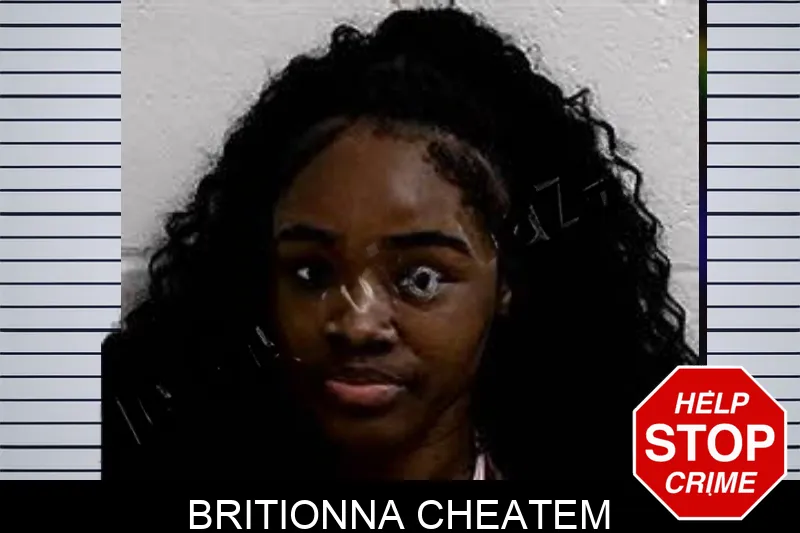 Britionna Cheatem mugshot – Decatur County , Georgia Britionna Cheatem mugshot