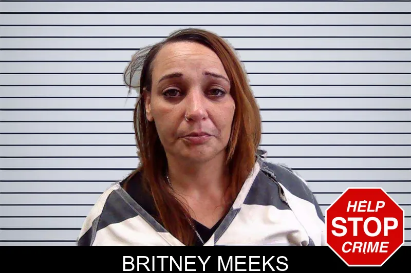 Britney Meeks mugshot – Evans County , Georgia Britney Meeks mugshot