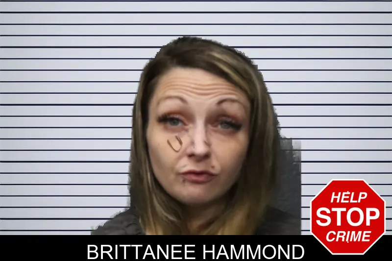 Brittanee Hammond mugshot – Forsyth County , Georgia Brittanee Hammond mugshot