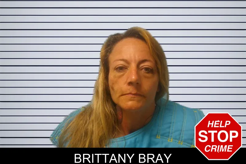 Brittany Bray mugshot – Franklin County , Georgia Brittany Bray mugshot