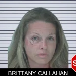 Brittany Callahan mugshot – Fayette County , Georgia Brittany Callahan mugshot
