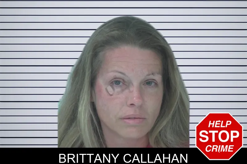 Brittany Callahan mugshot – Fayette County , Georgia Brittany Callahan mugshot