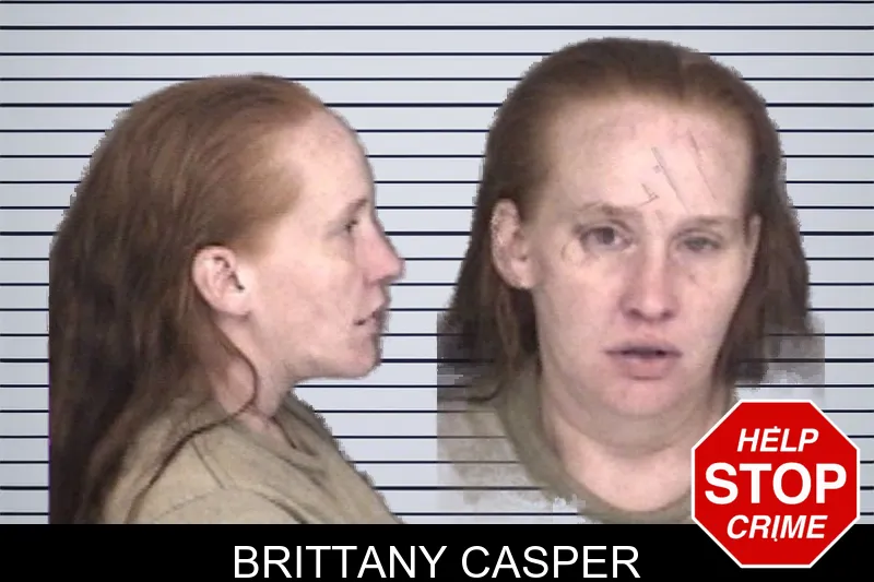 Brittany Casper mugshot – Barrow County , Georgia Brittany Casper mugshot