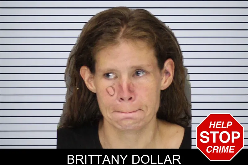 Brittany Dollar mugshot – Cobb County , Georgia Brittany Dollar mugshot