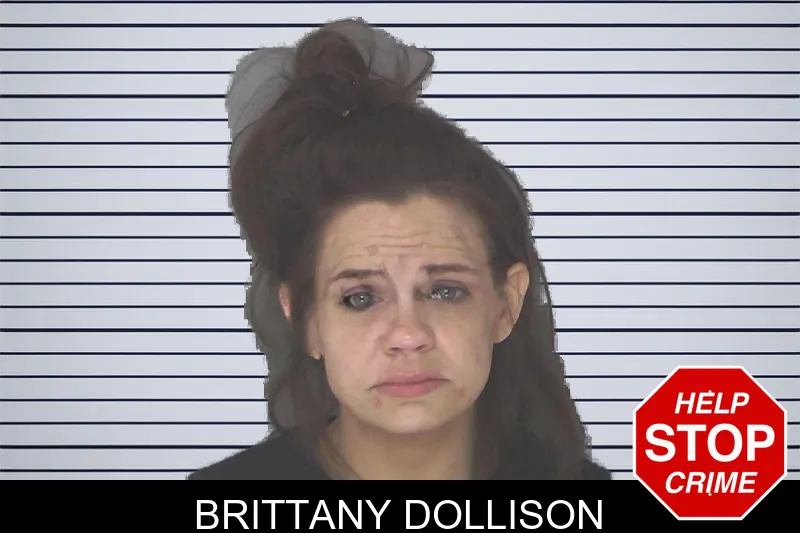 Brittany Dollison mugshot