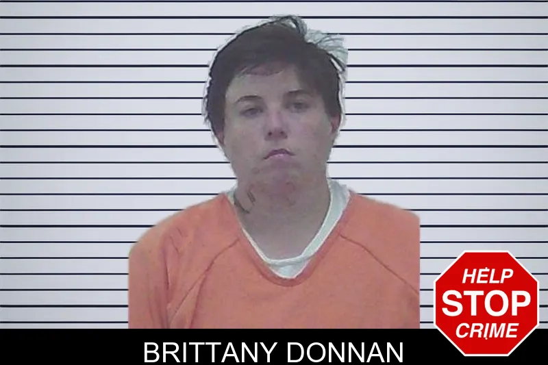 Brittany Donnan mugshot – Worth County , Georgia Brittany Donnan mugshot