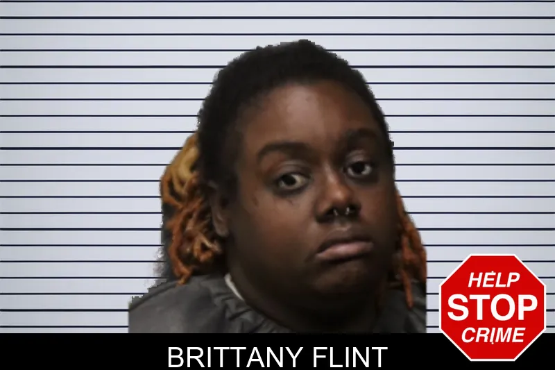 Brittany Flint mugshot