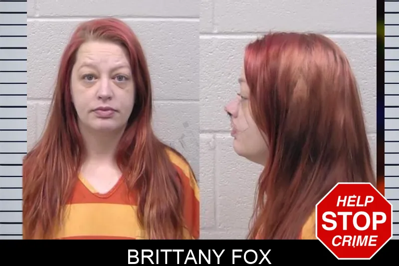 Brittany Fox mugshot – Paulding County , Georgia Brittany Fox mugshot