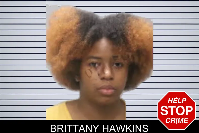 Brittany Hawkins mugshot