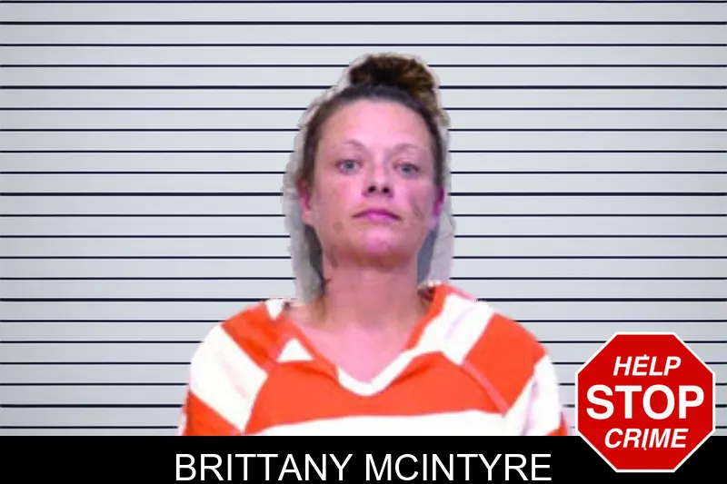 Brittany McIntyre mugshot – Bartow County , Georgia Brittany McIntyre mugshot