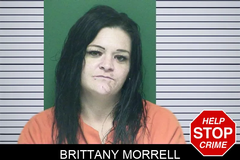 Brittany Morrell mugshot – Appling County , Georgia Brittany Morrell mugshot