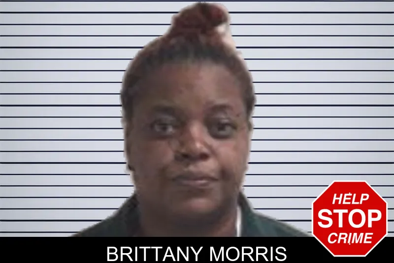 Brittany Morris mugshot – Henry County , Georgia Brittany Morris mugshot