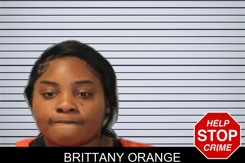 Brittany Orange mugshot – Seminole County , Georgia Brittany Orange mugshot