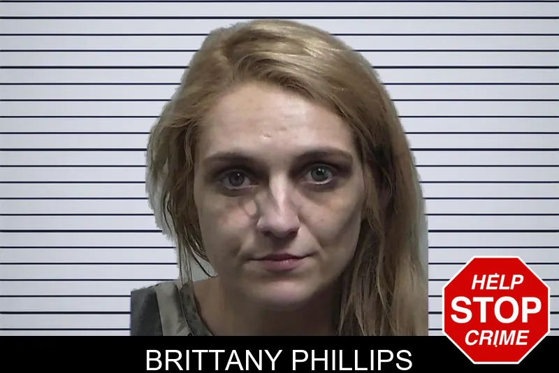 Brittany Phillips mugshot – Tift County , Georgia Brittany Phillips mugshot