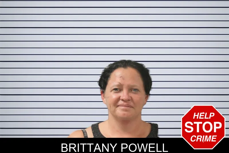 Brittany Powell mugshot – Toombs County , Georgia Brittany Powell mugshot