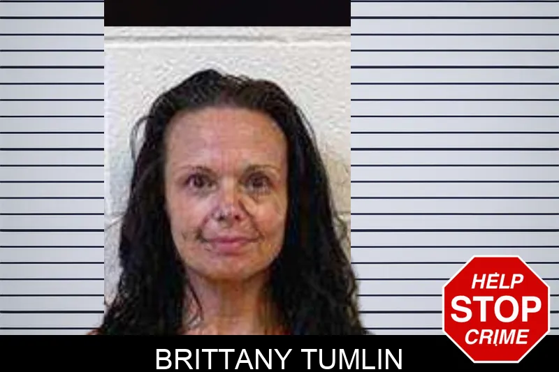 Brittany Tumlin mugshot – Polk County , Georgia Brittany Tumlin mugshot