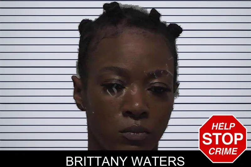 Brittany Waters mugshot – Laurens County , Georgia Brittany Waters mugshot