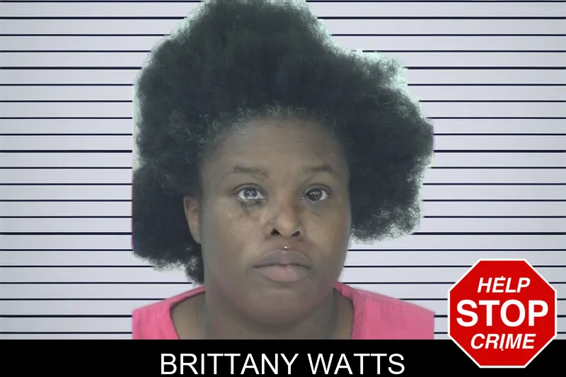 Brittany Watts mugshot – Fayette County , Georgia Brittany Watts mugshot