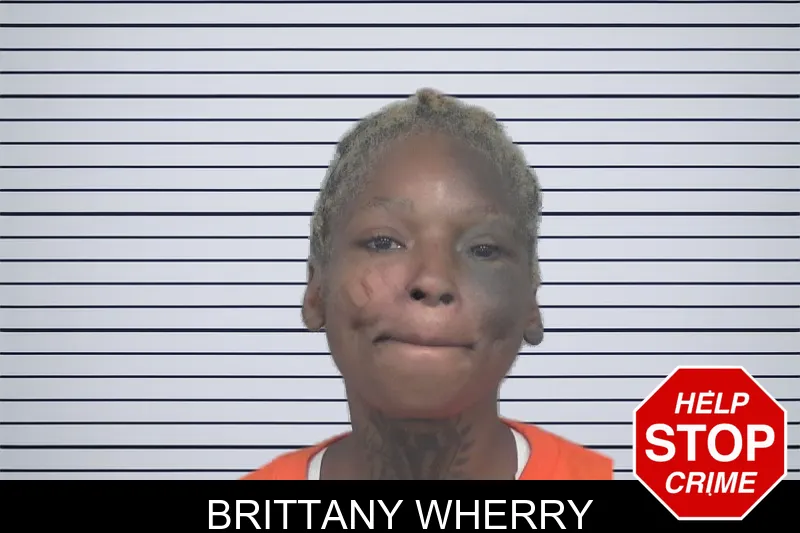 Brittany Wherry mugshot – Gwinnett County , Georgia Brittany Wherry mugshot