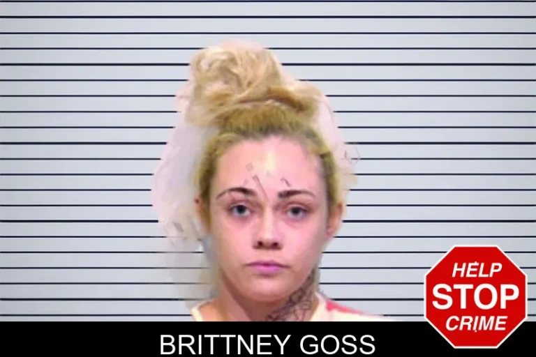 Brittney Goss mugshot – Bartow County , Georgia Brittney Goss